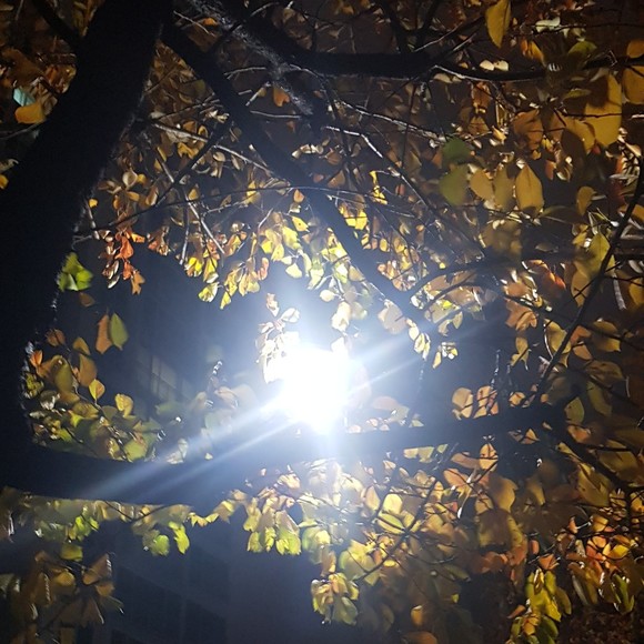 Meet your Posher, Jun - Picture 1 of 1